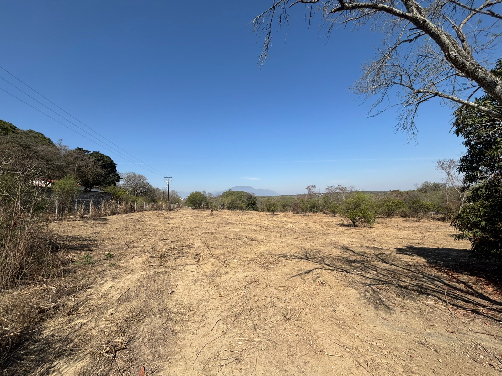 Vista 3 del terreno en Allende