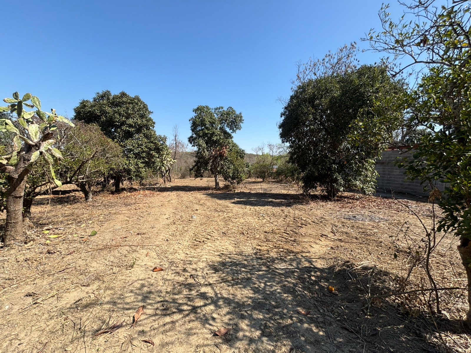 Terreno 1 ha plano · Allende (Río Ramos) 3