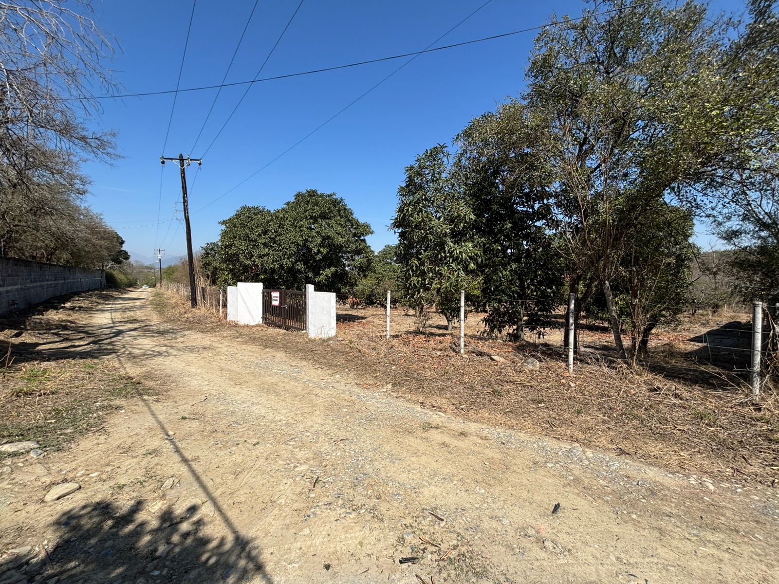 Macrolote para desarrollo · Allende 1