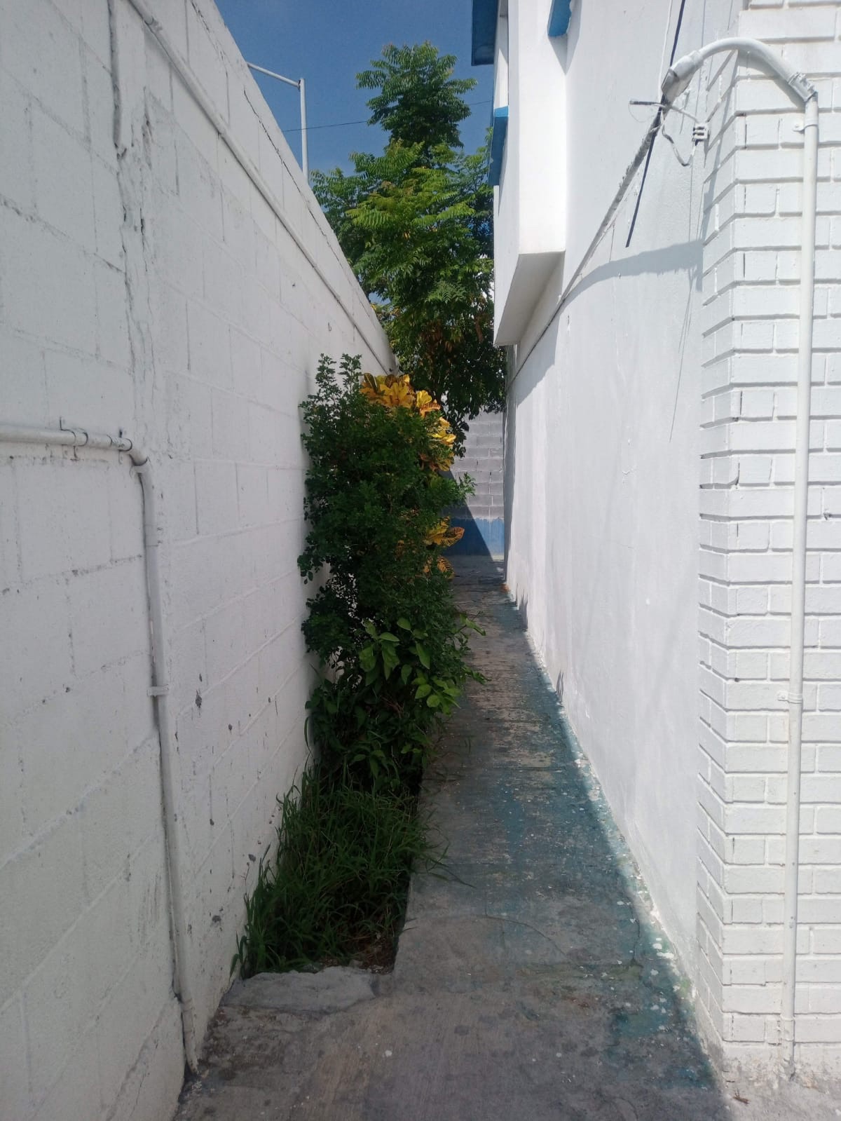 Casa en venta · Col. Santa Maria Guadalupe 4