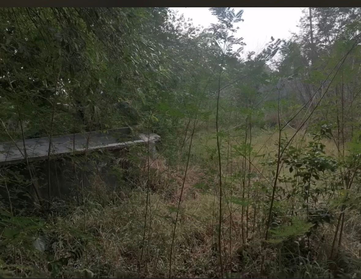 Terreno 800 m² · Pesquería 3