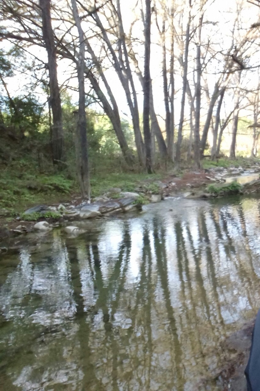 Terreno 44.5 ha · Río Margaritas Santiago 4